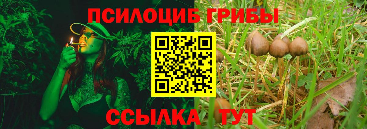 Псилоцибиновые грибы мухоморы Шарыпово