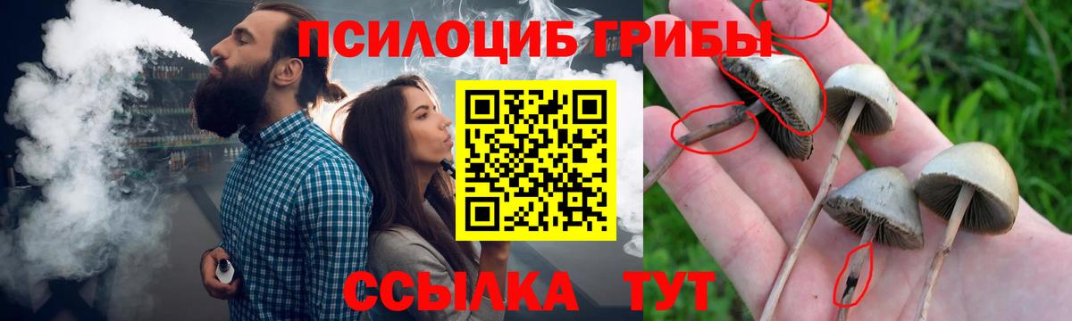 Шарыпово  Галлюциногенные грибы Cubensis  где купить наркотик  Вход с VPN 
