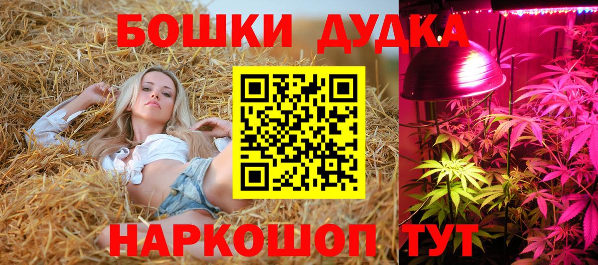 Каннабис гибрид Шарыпово
